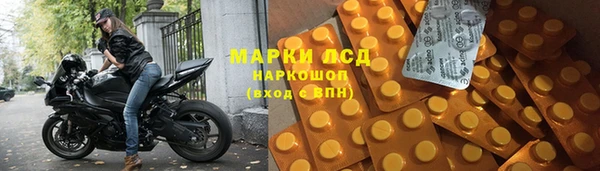 ПСИЛОЦИБИНОВЫЕ ГРИБЫ Белоозёрский