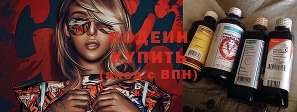 индика Нефтегорск