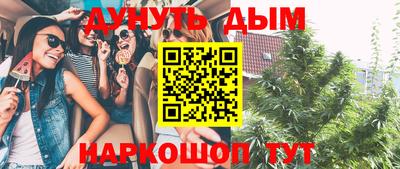 индика Краснокаменск