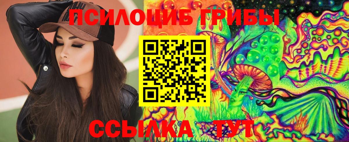 Псилоцибиновые грибы GOLDEN TEACHER  Галлюциногенные грибы мицелий  закладка  Омск 