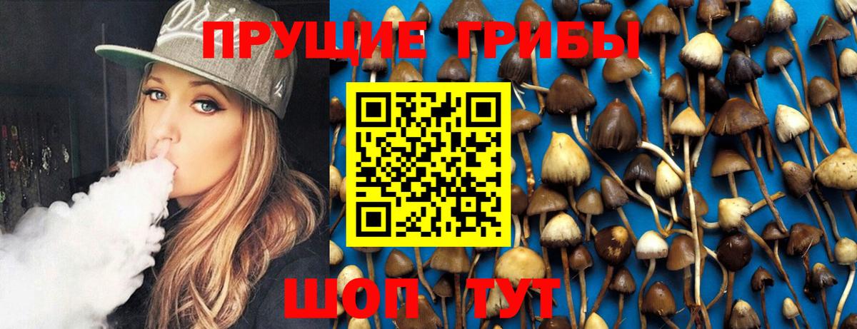 Псилоцибиновые грибы Cubensis Омск