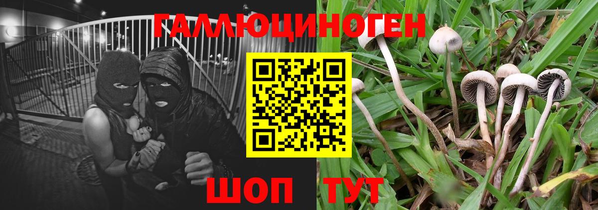 Галлюциногенные грибы MAGIC MUSHROOMS Омск